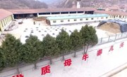 万头牛场