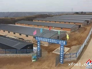 旭辉养殖专业合作社